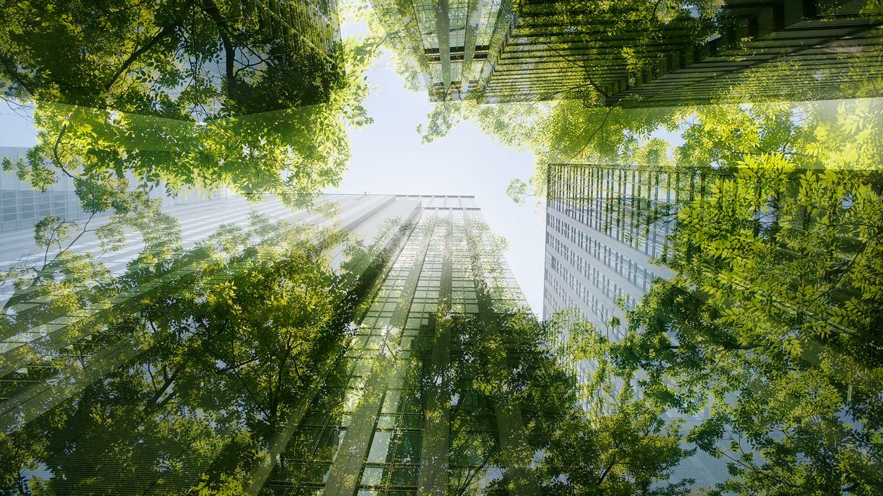 Croissance durable : les études jouent un rôle essentiel pour accompagner les entreprises